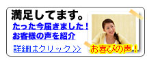 輸入家具導入店紹介